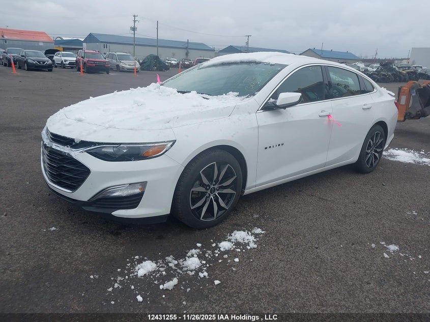1G1ZG5STXPF147319 2023 CHEVROLET MALIBU photo no. 2