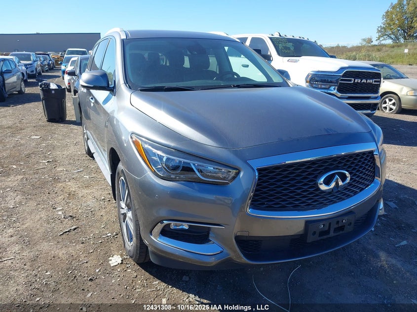 2020 Infiniti Qx60 VIN: 5N1DL0MM8LC531919 Lot: 12431308