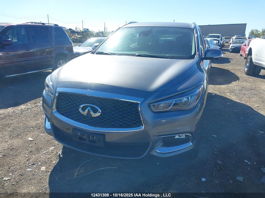 2020 Infiniti Qx60 VIN: 5N1DL0MM8LC531919 Lot: 12431308
