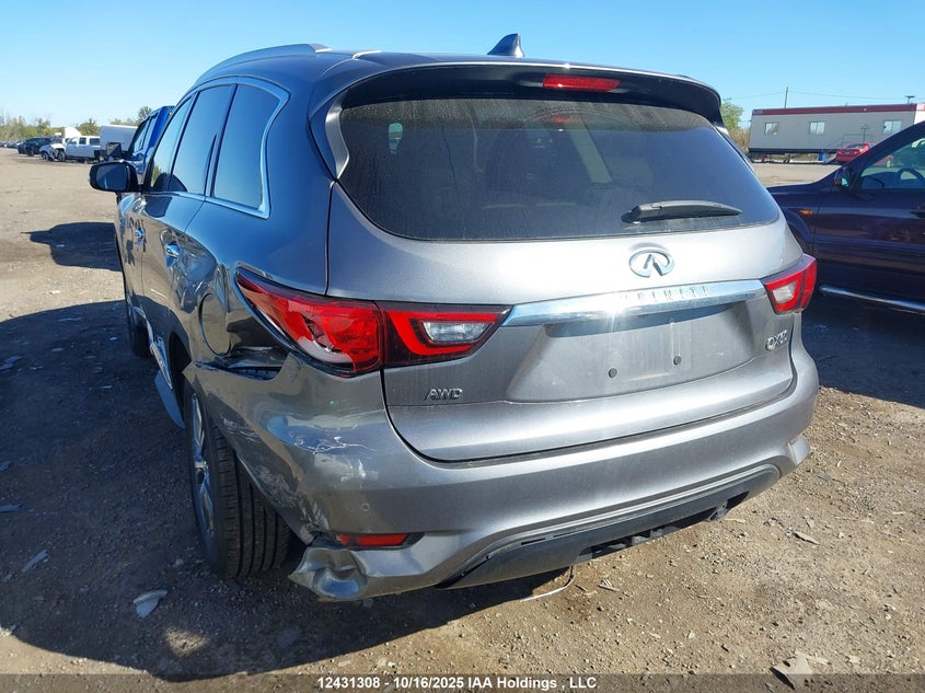 2020 Infiniti Qx60 VIN: 5N1DL0MM8LC531919 Lot: 12431308