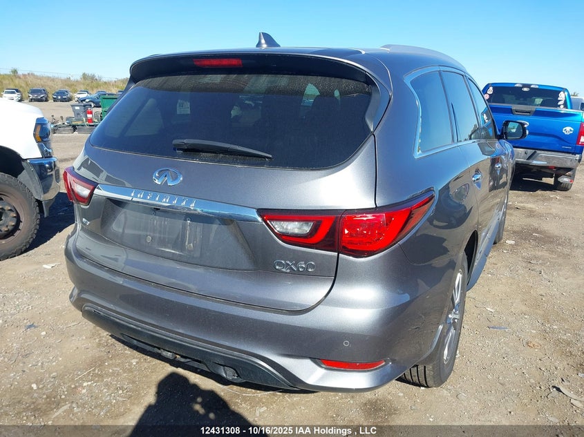 2020 Infiniti Qx60 VIN: 5N1DL0MM8LC531919 Lot: 12431308
