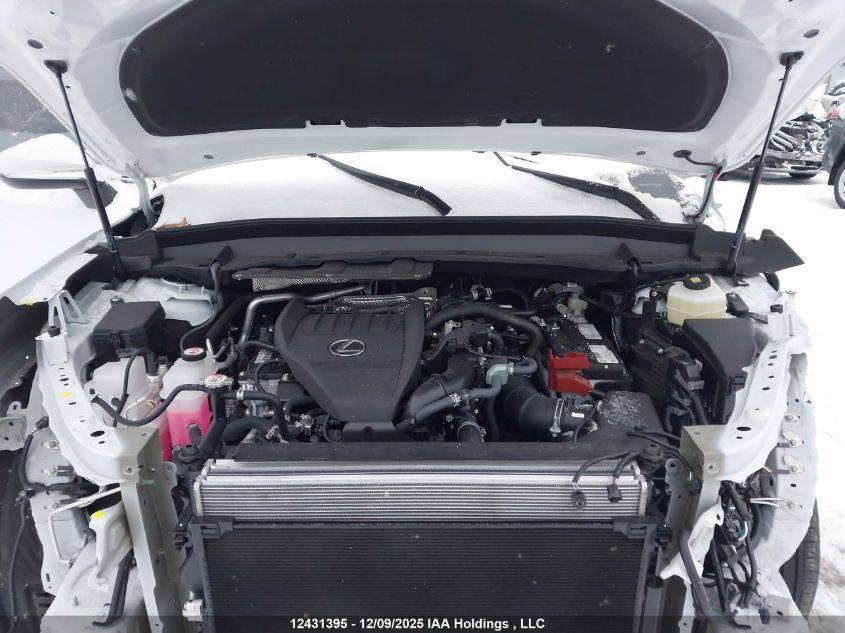 2025 Lexus Tx 350 VIN: 5TDAAAB60SS028437 Lot: 12431395