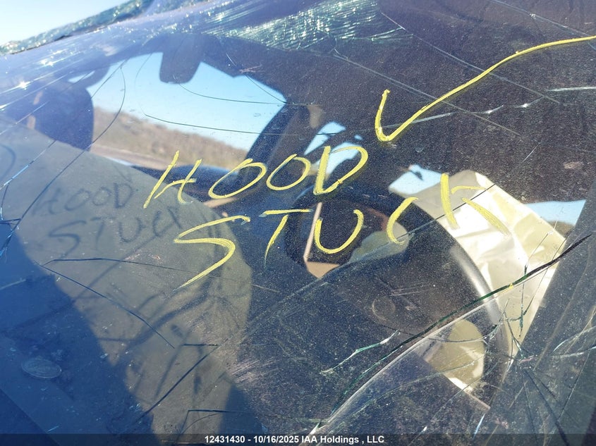 2000 Ford F350 Super Duty VIN: 1FTWX33F0YEE38863 Lot: 12431430