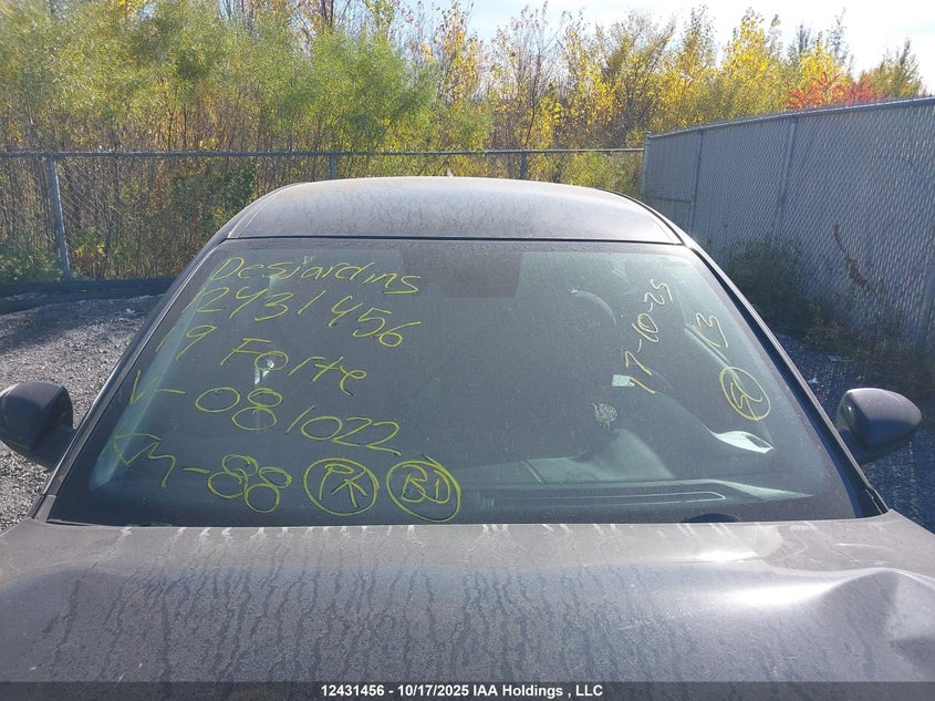 2019 Kia Forte Fe/Lx/Lxs VIN: 3KPF24AD7KE081022 Lot: 12431456