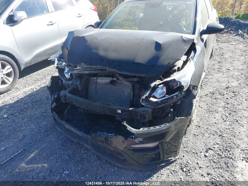 2019 Kia Forte Fe/Lx/Lxs VIN: 3KPF24AD7KE081022 Lot: 12431456