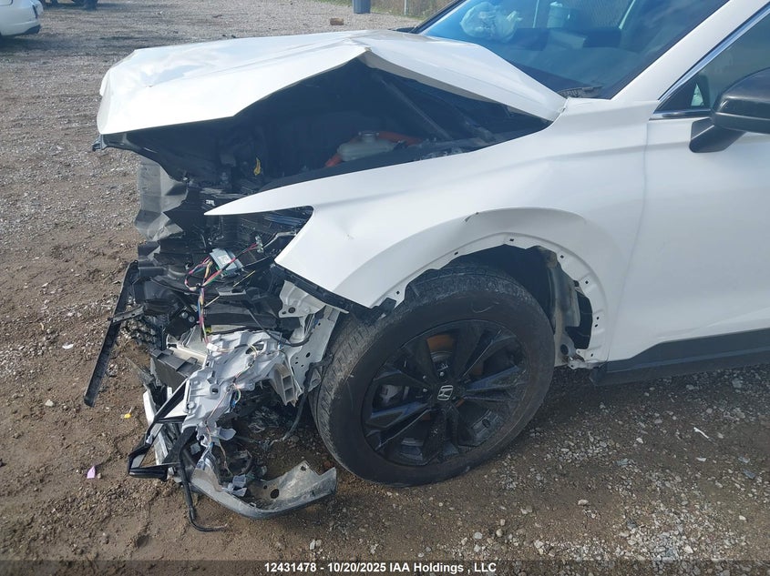 2HKRS6H99PH206762 2023 HONDA CR-V photo no. 6