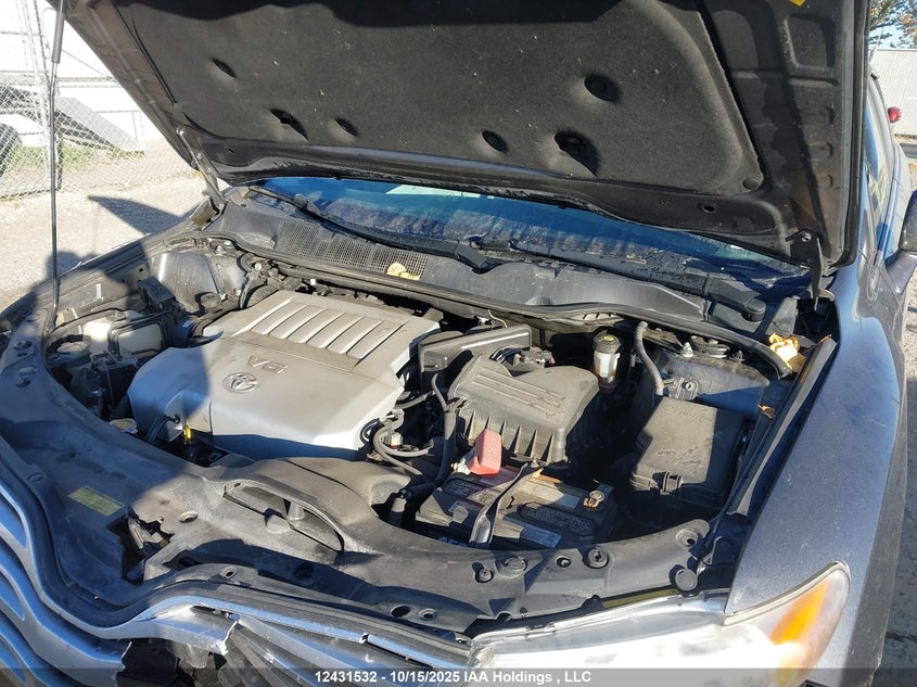 2009 Toyota Venza VIN: 4T3BK11A59U010693 Lot: 12431532