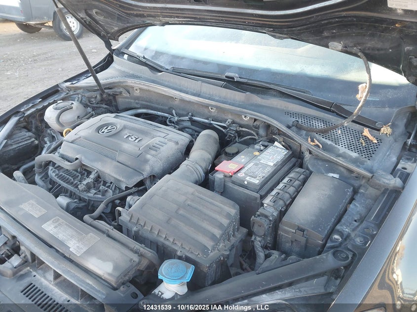 2019 Volkswagen Golf Alltrack 1.8 Tsi Execline/1.8 Tsi Highline VIN: 3VWH17AUXKM502134 Lot: 12431539