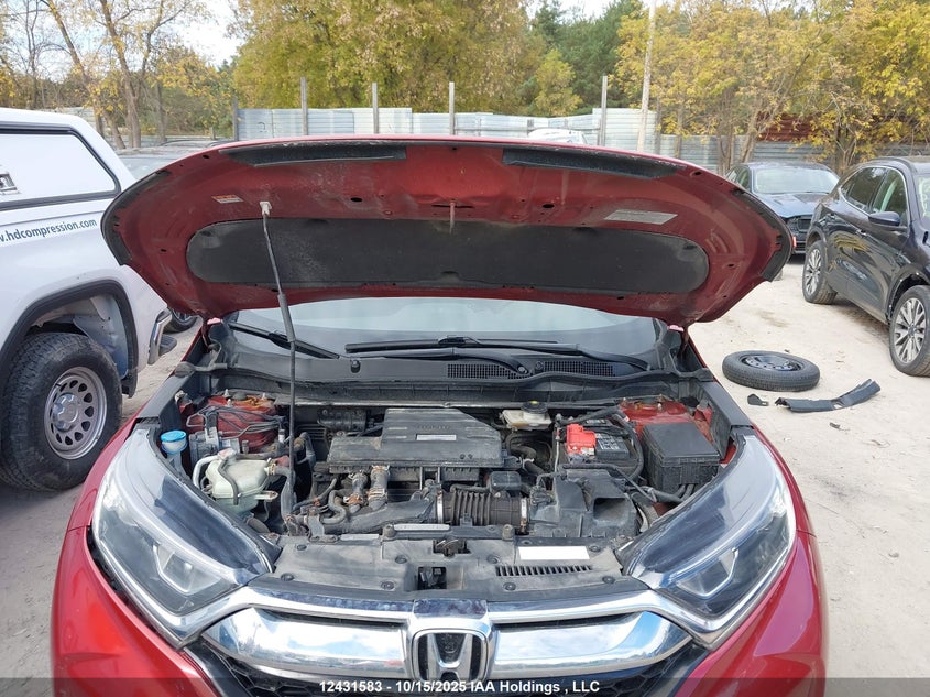 2019 Honda Cr-V Ex VIN: 2HKRW2H5XKH105703 Lot: 12431583