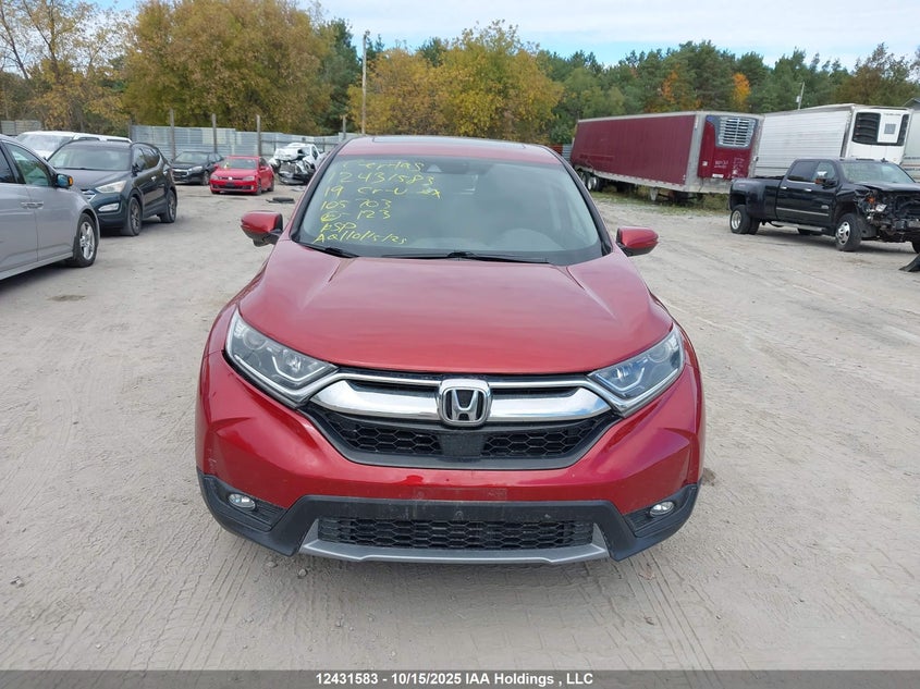 2019 Honda Cr-V Ex VIN: 2HKRW2H5XKH105703 Lot: 12431583