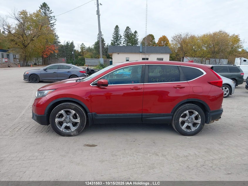 2019 Honda Cr-V Ex VIN: 2HKRW2H5XKH105703 Lot: 12431583