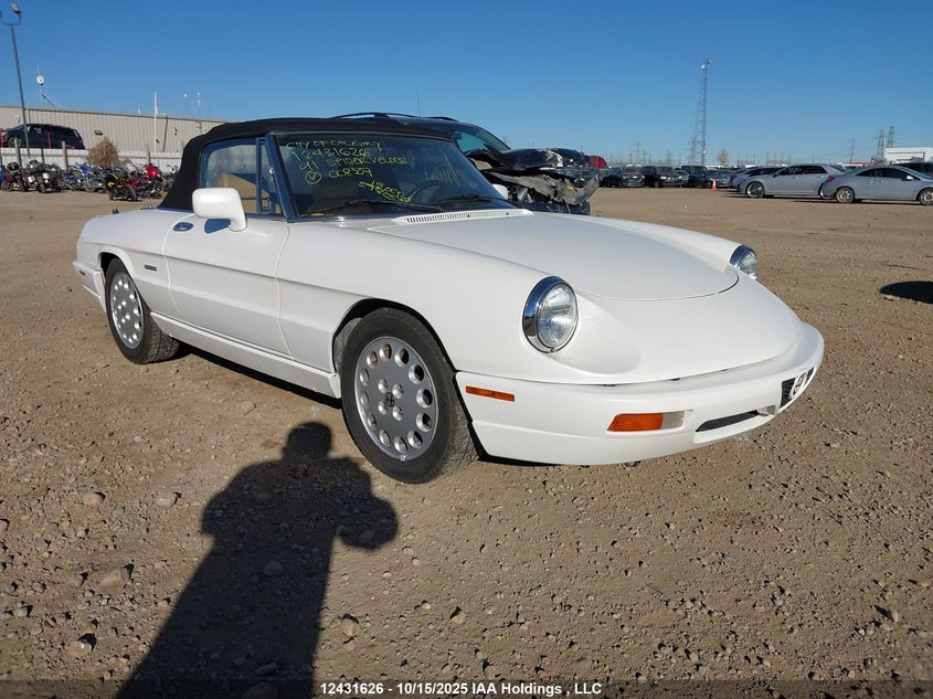ZARBB42N4M6008307 1991 Alfa Romeo Spider Veloce auction photo 1