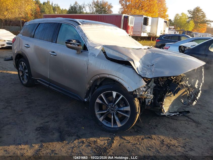 5N1DL1FS0PC332368 2023 Infiniti Qx60 Luxe auction photo 1