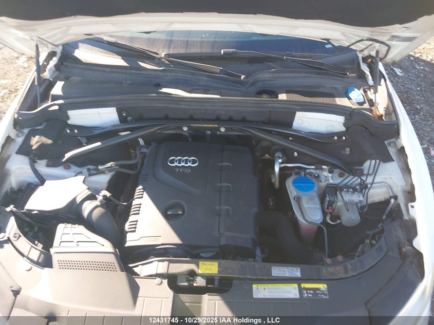 2014 Audi Q5 Premium Plus VIN: WA1LFCFP8EA014628 Lot: 12431745