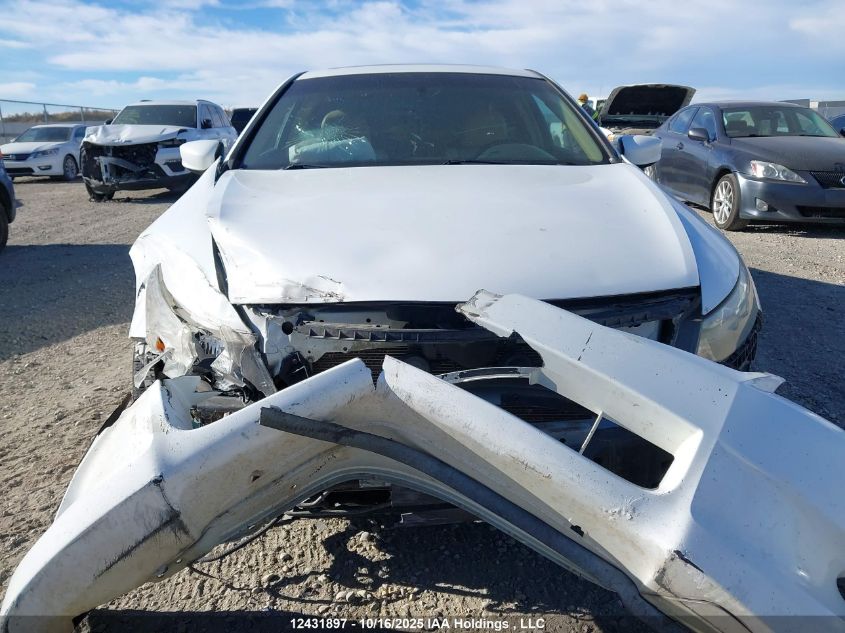 2009 Honda Accord Ex-L V6 VIN: 1HGCS22899A800648 Lot: 12431897