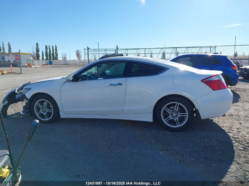 2009 Honda Accord Ex-L V6 VIN: 1HGCS22899A800648 Lot: 12431897