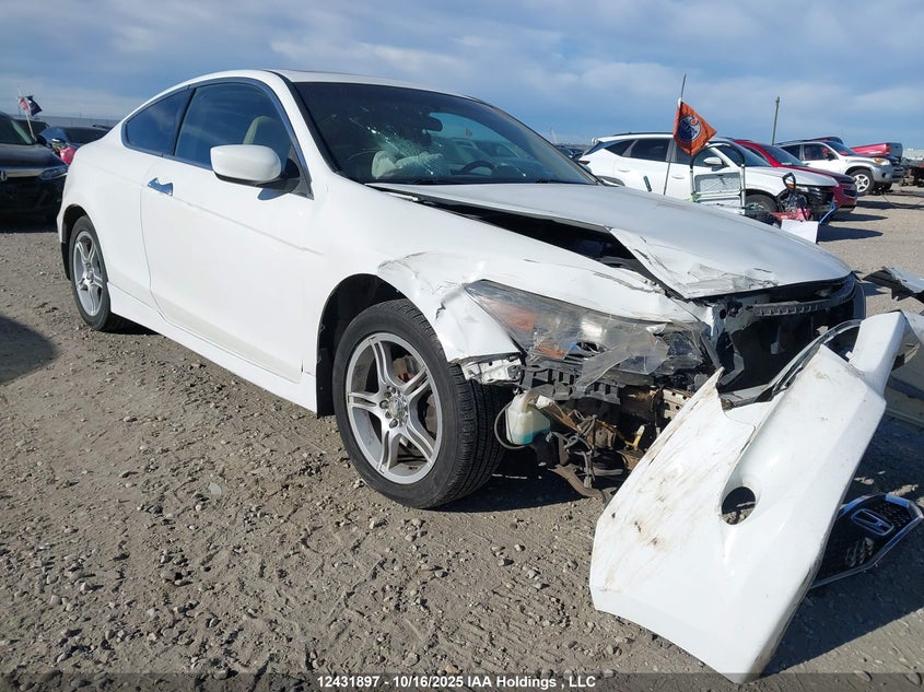 1HGCS22899A800648 2009 Honda Accord Ex-L V6 auction photo 1