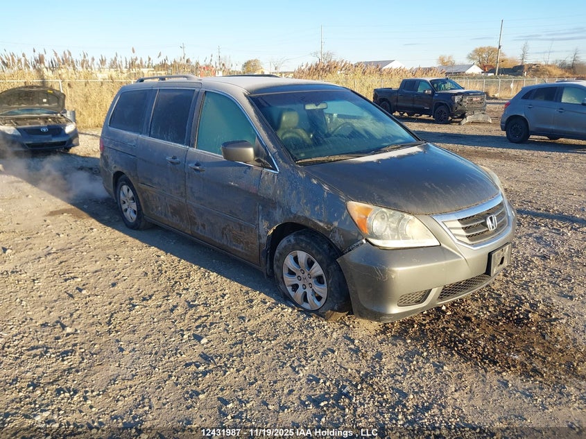 5FNRL38488B502369 2008 HONDA ODYSSEY photo no. 10