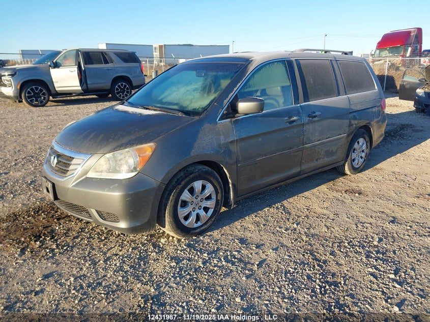5FNRL38488B502369 2008 HONDA ODYSSEY photo no. 2