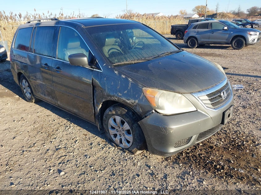 5FNRL38488B502369 2008 HONDA ODYSSEY photo no. 6