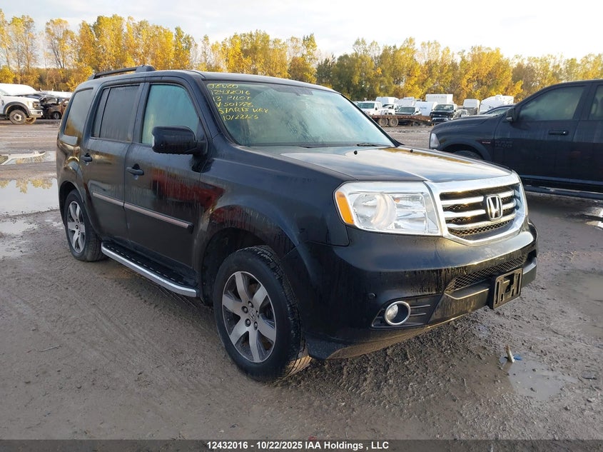 5FNYF4H97DB501776 2013 Honda Pilot auction photo 1