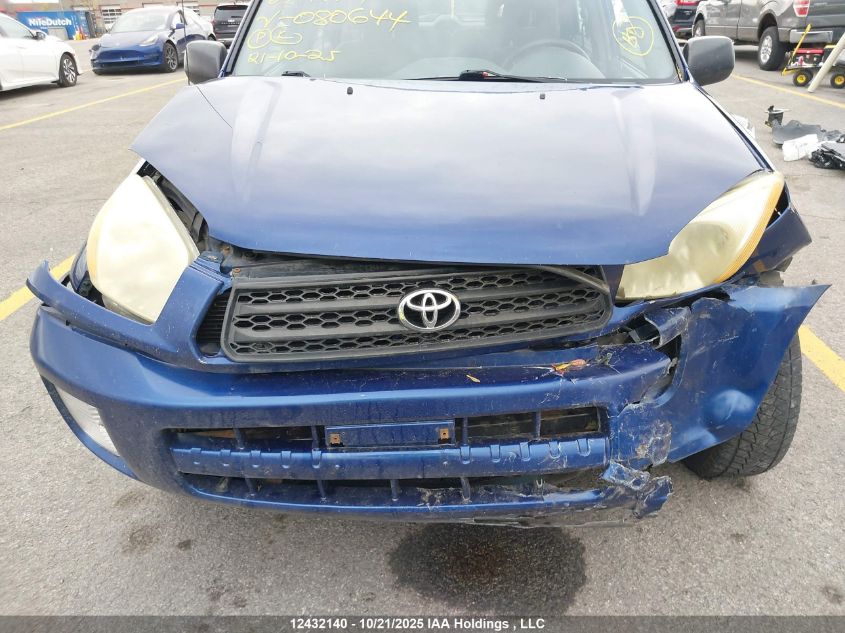 2003 Toyota Rav4 VIN: JTEHH20V236080644 Lot: 12432140