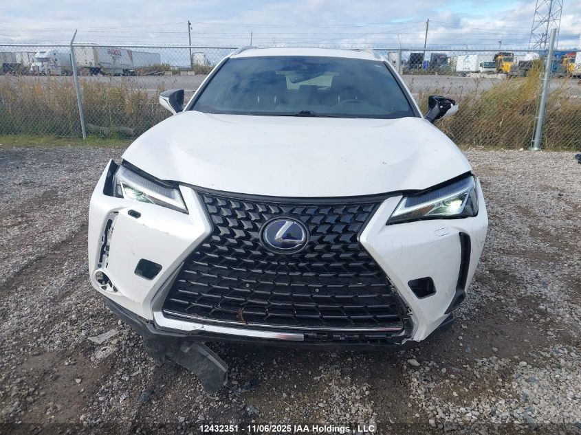 2020 Lexus Ux 250H VIN: JTHP9JBH7L2033999 Lot: 12432351