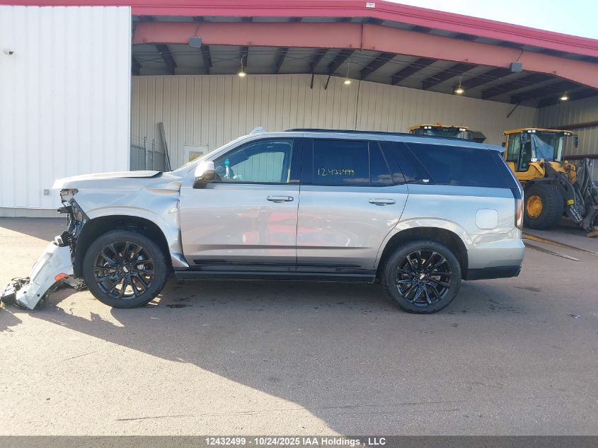 2024 Cadillac Escalade Sport Platinum VIN: 1GYS4GKL3RR168392 Lot: 12432499