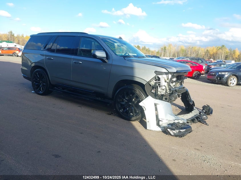 1GYS4GKL3RR168392 2024 CADILLAC ESCALADE photo no. 15