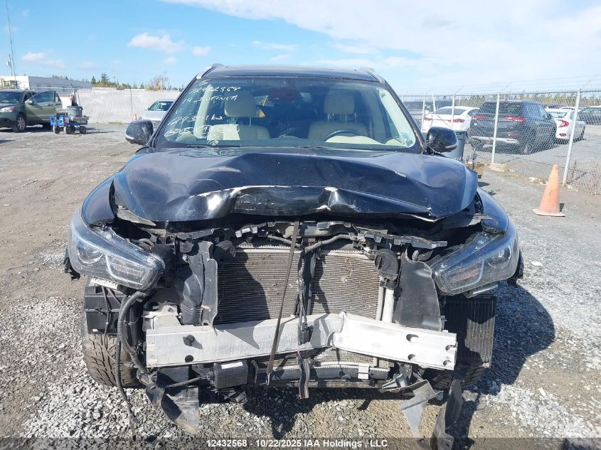 2019 Infiniti Qx60 Pure VIN: 5N1DL0MM2KC559746 Lot: 12432568