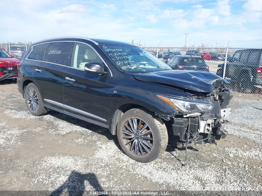 5N1DL0MM2KC559746 2019 INFINITI QX60 photo no. 24