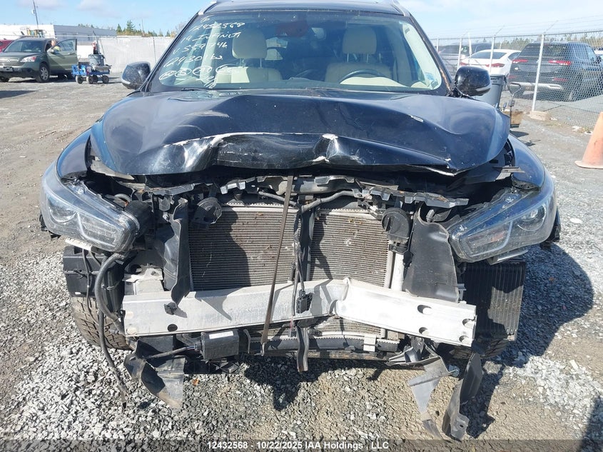 2019 Infiniti Qx60 Pure VIN: 5N1DL0MM2KC559746 Lot: 12432568