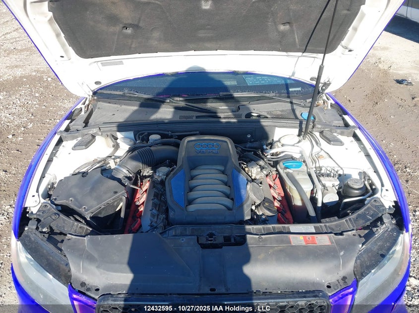 2010 Audi S5 Premium Plus VIN: WAUCVBFR6AA028023 Lot: 12432595