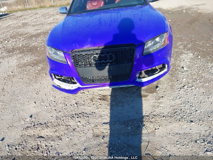 2010 Audi S5 Premium Plus VIN: WAUCVBFR6AA028023 Lot: 12432595