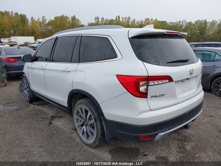 5FNYF6H75LB503924 2020 HONDA PILOT photo no. 3
