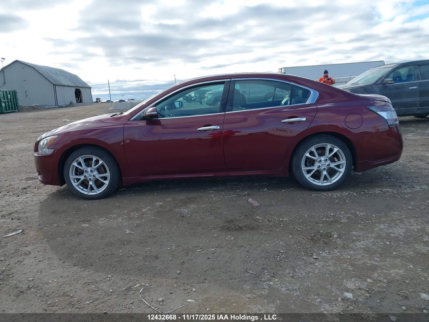 2013 Nissan Maxima VIN: 1N4AA5AP4DC821686 Lot: 12432668