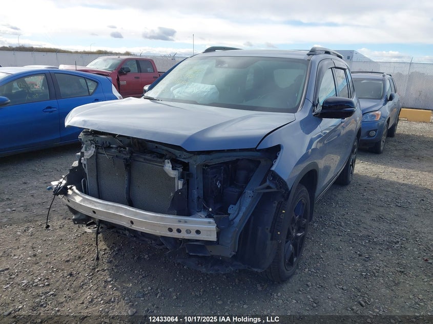 2024 Honda Passport Black Edition VIN: 5FNYF8H86RB500446 Lot: 12433064