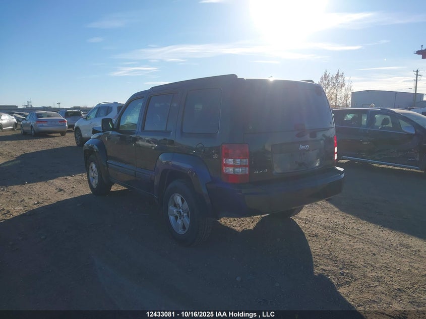 1J4PN2GK0AW123101 2010 JEEP LIBERTY (NORTH AMERICA) photo no. 3