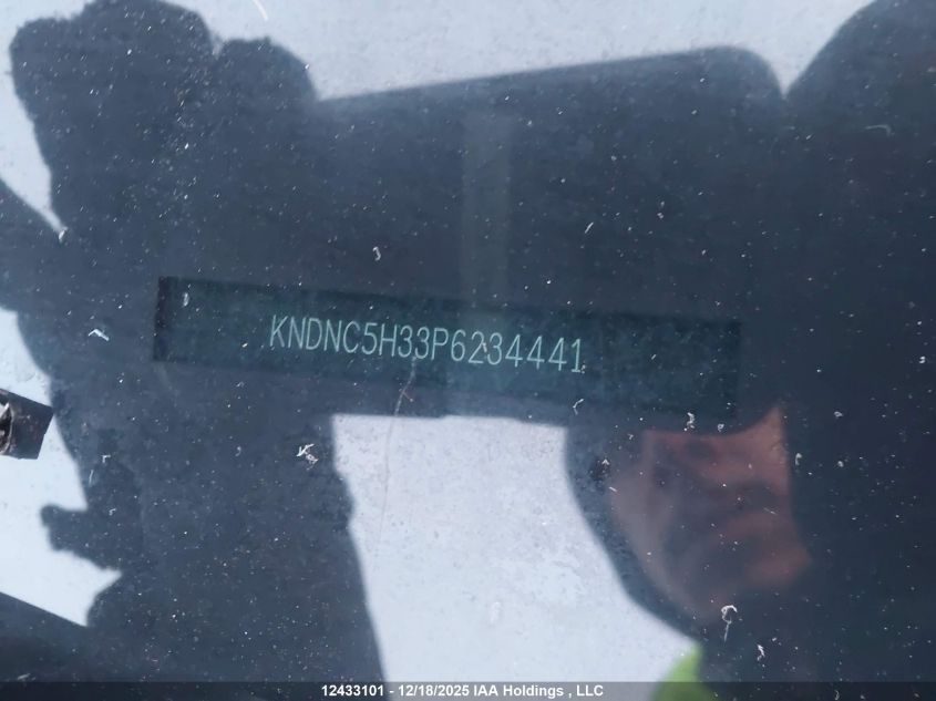2023 Kia Carnival Ex VIN: KNDNC5H33P6234441 Lot: 12433101