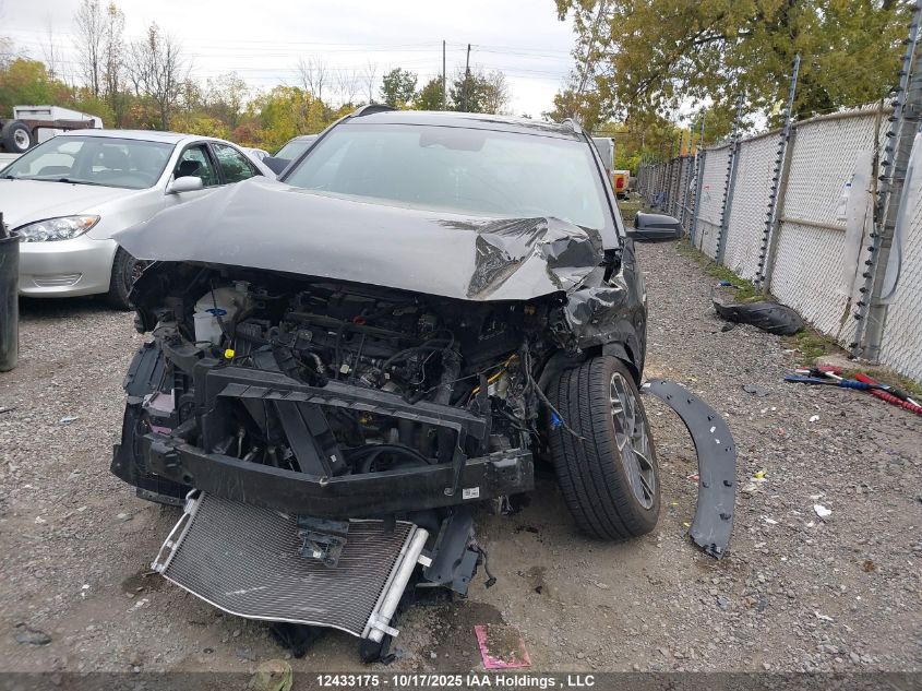 2023 Hyundai Kona Limited VIN: KM8K5CA3XPU023692 Lot: 12433175