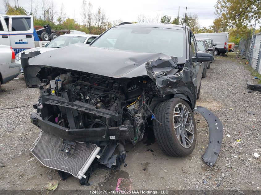 2023 Hyundai Kona Limited VIN: KM8K5CA3XPU023692 Lot: 12433175