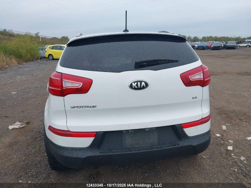 2013 Kia Sportage Ex VIN: KNDPCCA24D7516107 Lot: 12433345