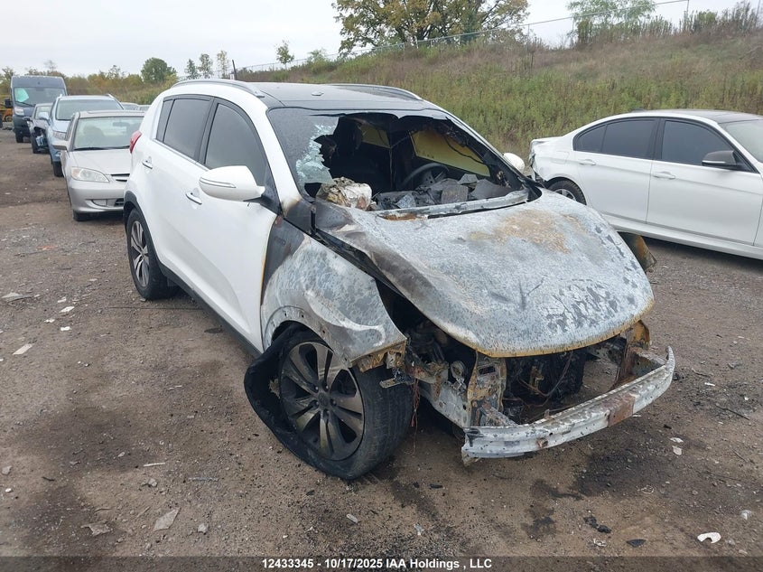 KNDPCCA24D7516107 2013 Kia Sportage Ex auction photo 1