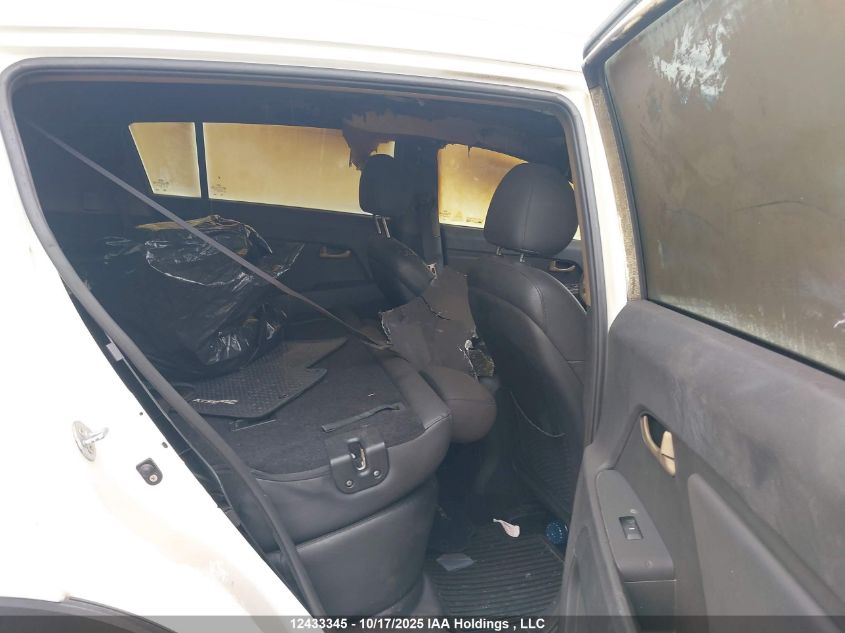 2013 Kia Sportage Ex VIN: KNDPCCA24D7516107 Lot: 12433345