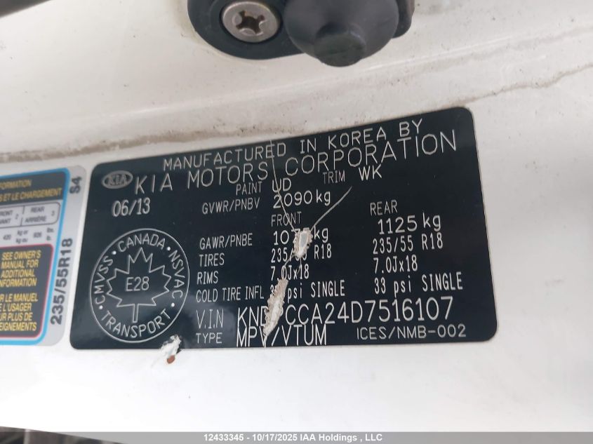 2013 Kia Sportage Ex VIN: KNDPCCA24D7516107 Lot: 12433345