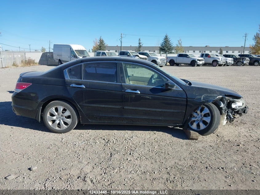 2008 Honda Accord Exl VIN: 1HGCP36818A803219 Lot: 12433448