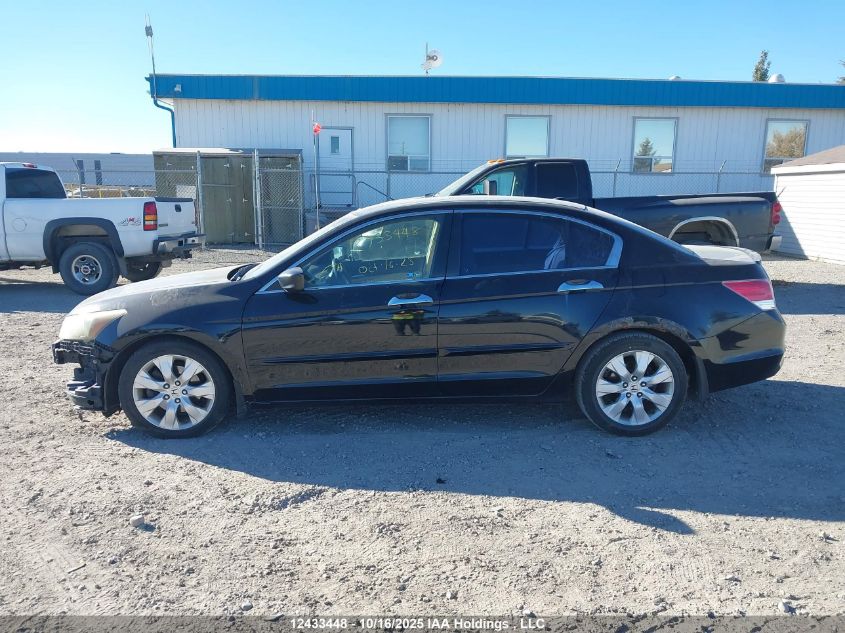 2008 Honda Accord Exl VIN: 1HGCP36818A803219 Lot: 12433448