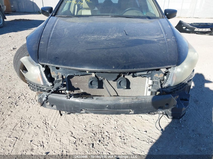 2008 Honda Accord Exl VIN: 1HGCP36818A803219 Lot: 12433448