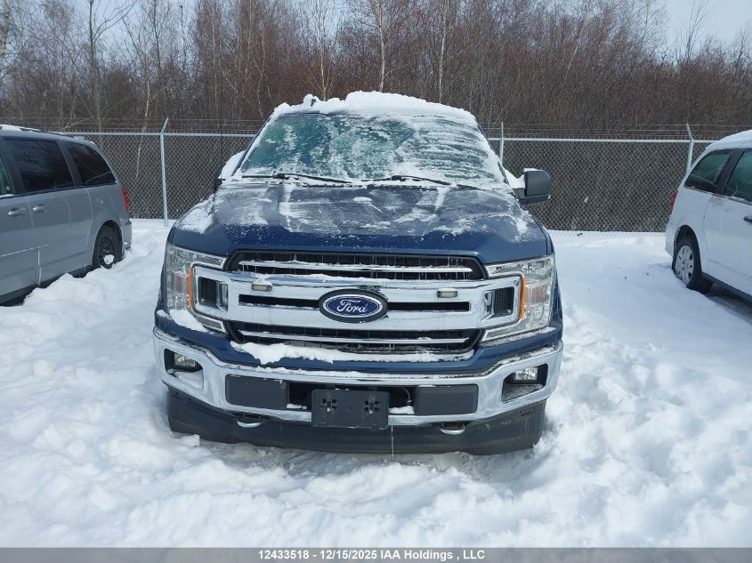 2019 Ford F150 VIN: 1FTMF1CB8KKE42244 Lot: 12433518