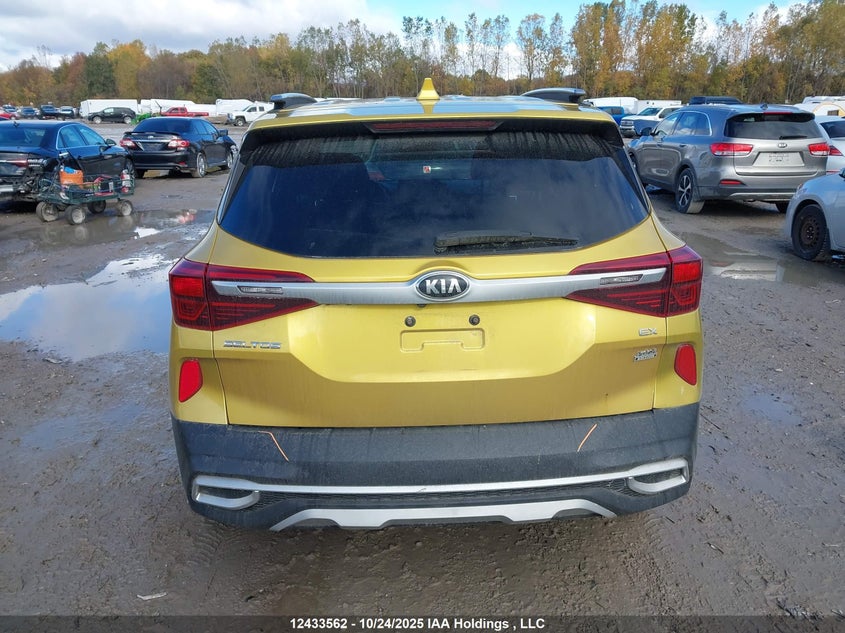 2021 Kia Seltos S VIN: KNDEUCAA1M7209781 Lot: 12433562